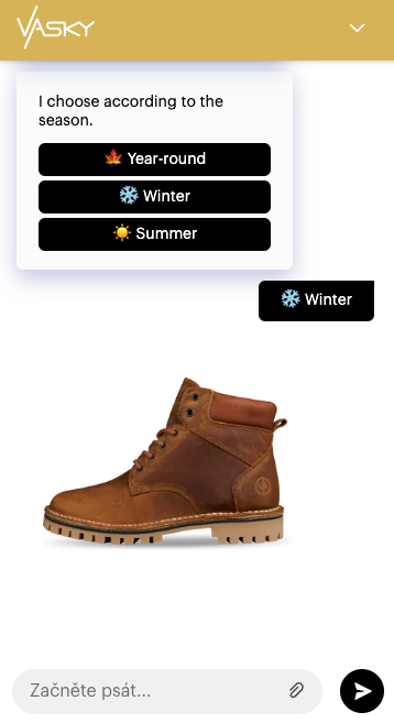 image - Vasky Chatbot