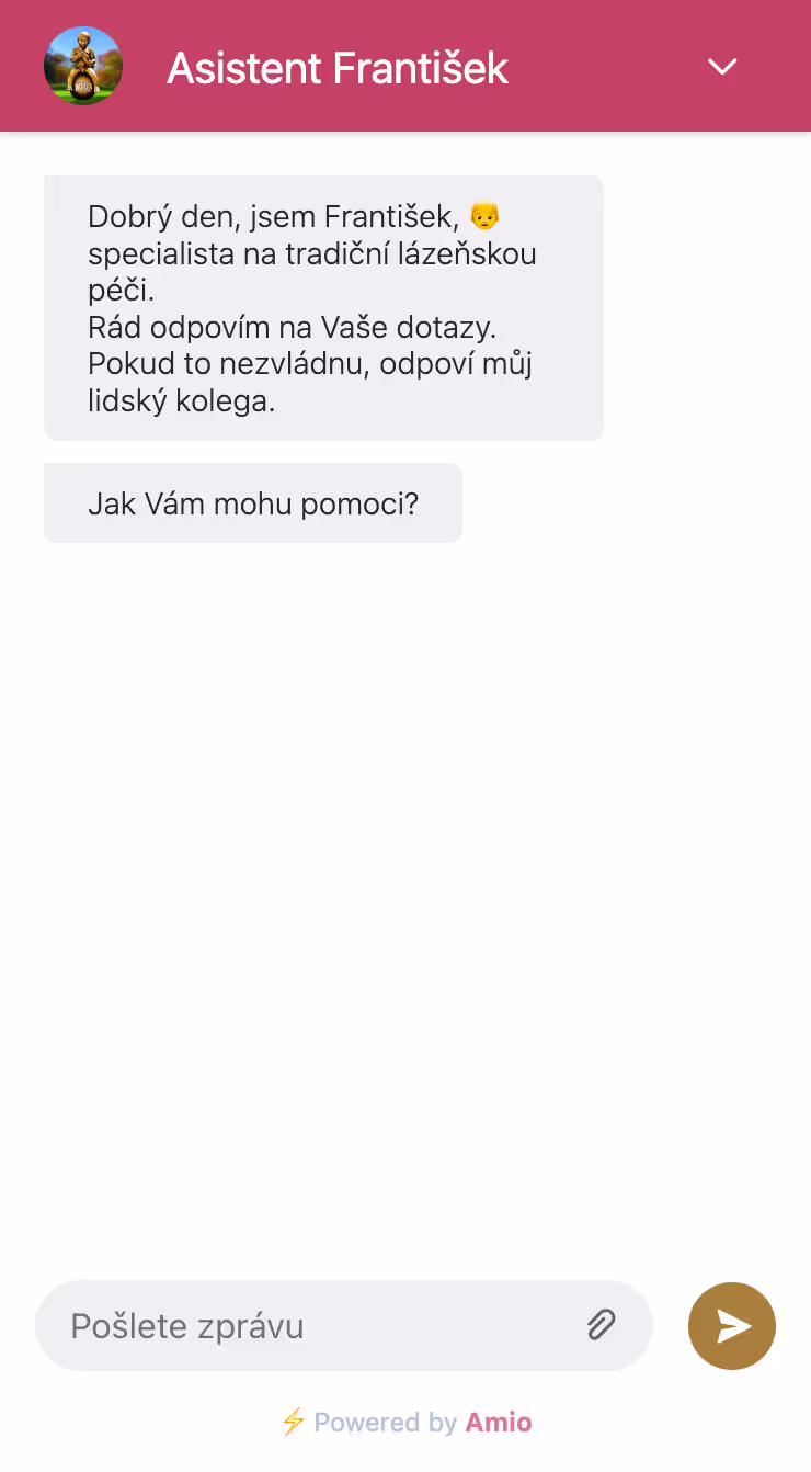 Screenshot of Františkovy Lázně chatbot